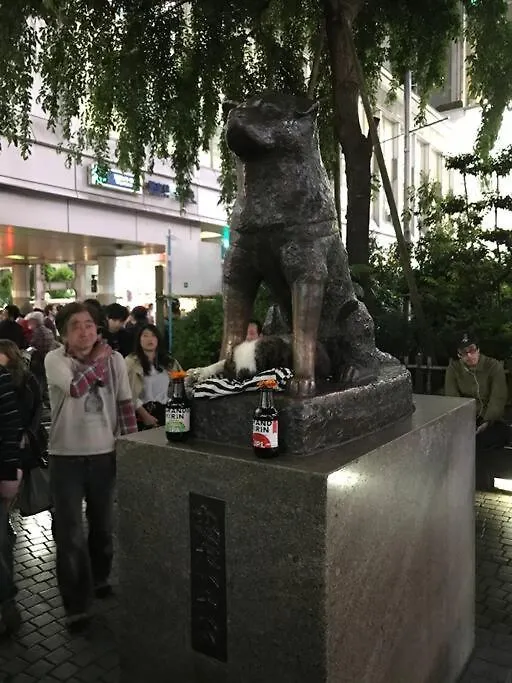 Unito 道玄坂邸宅 Tokyo prefektur